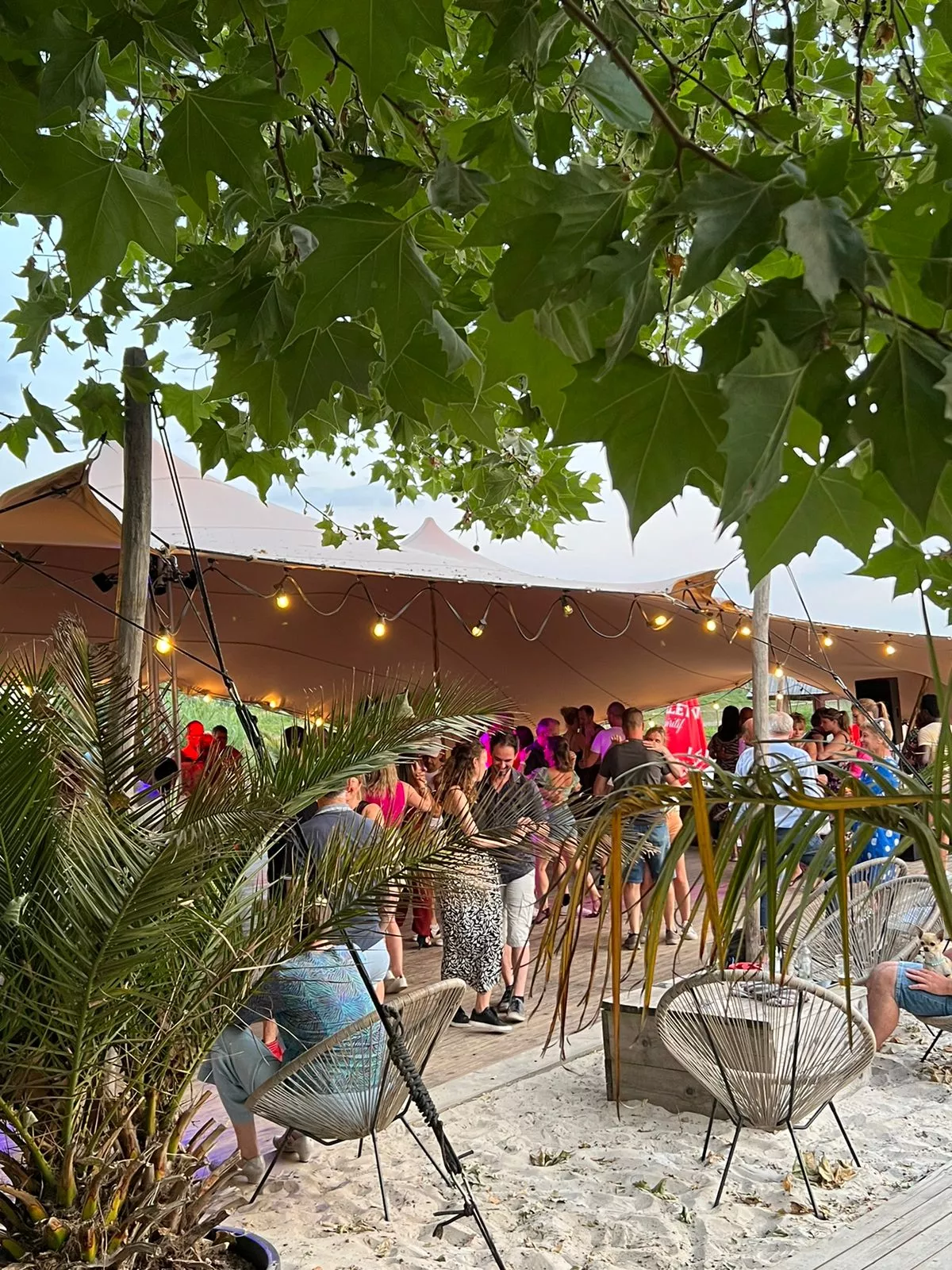 Ambachtelijke cocktail op een houten bar